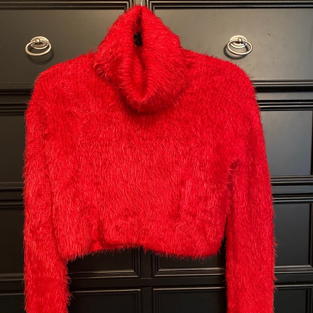 Red Cropped Turtleneck